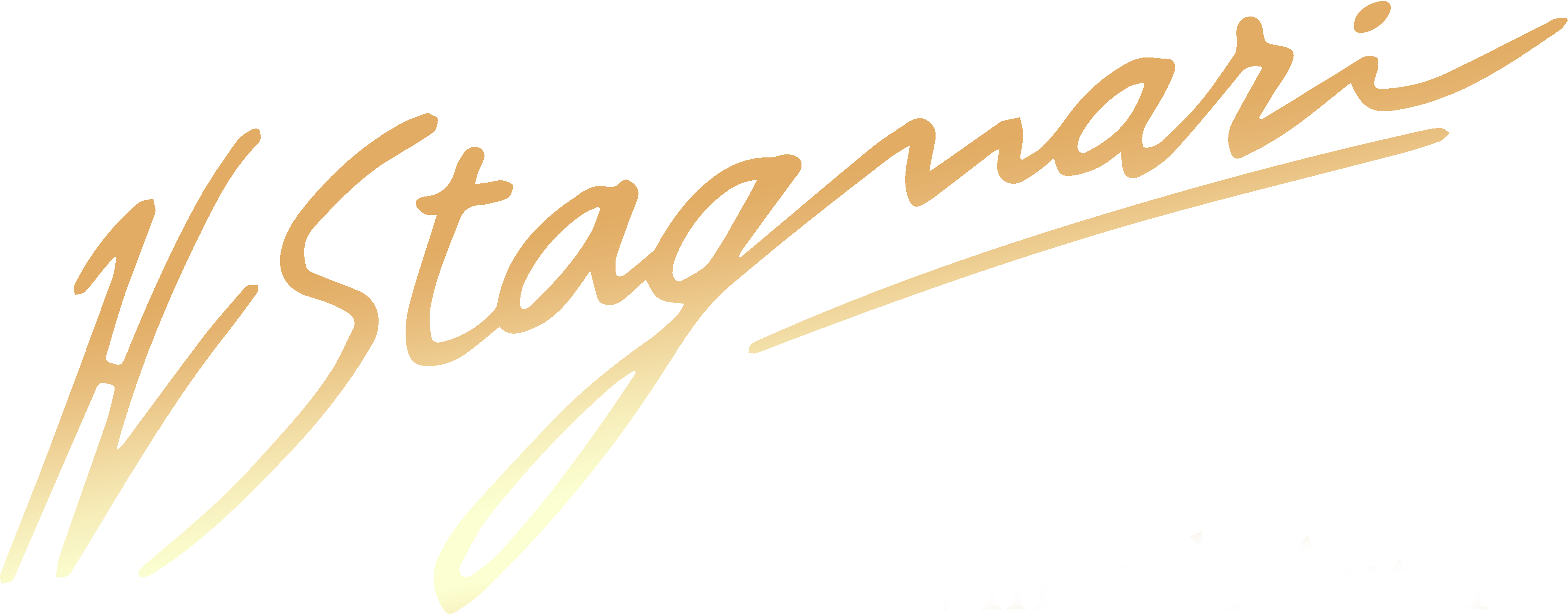 H. Stagnari Brasil